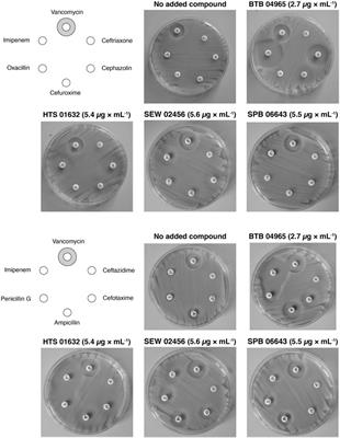 A Staphylococcus aureus clpX Mutant Used as a Unique Screening Tool to Identify Cell Wall Synthesis Inhibitors that Reverse β-Lactam Resistance in MRSA